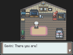 Pokemon Bloody Platinum screenshot 4