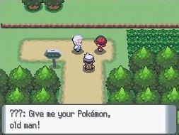 Pokemon Dark Diamond screenshot 2