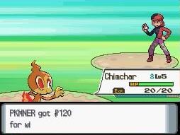 Pokemon Dark Diamond screenshot 3