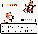 Pokemon Dark Energy screenshot 2