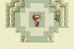 Pokemon Eclipse screenshot 4