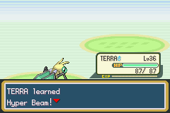 Pokemon Genesis screenshot 3