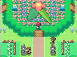 Pokemon Perfect Platinum screenshot 3
