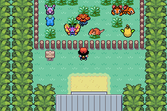 Pokemon Sunset Orange screenshot 5